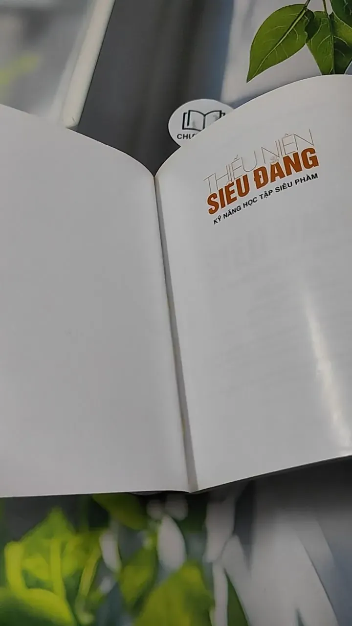 Thiếu Niên Siêu Đẳng - Kỹ Năng Học Tập Siêu Phàm 727314