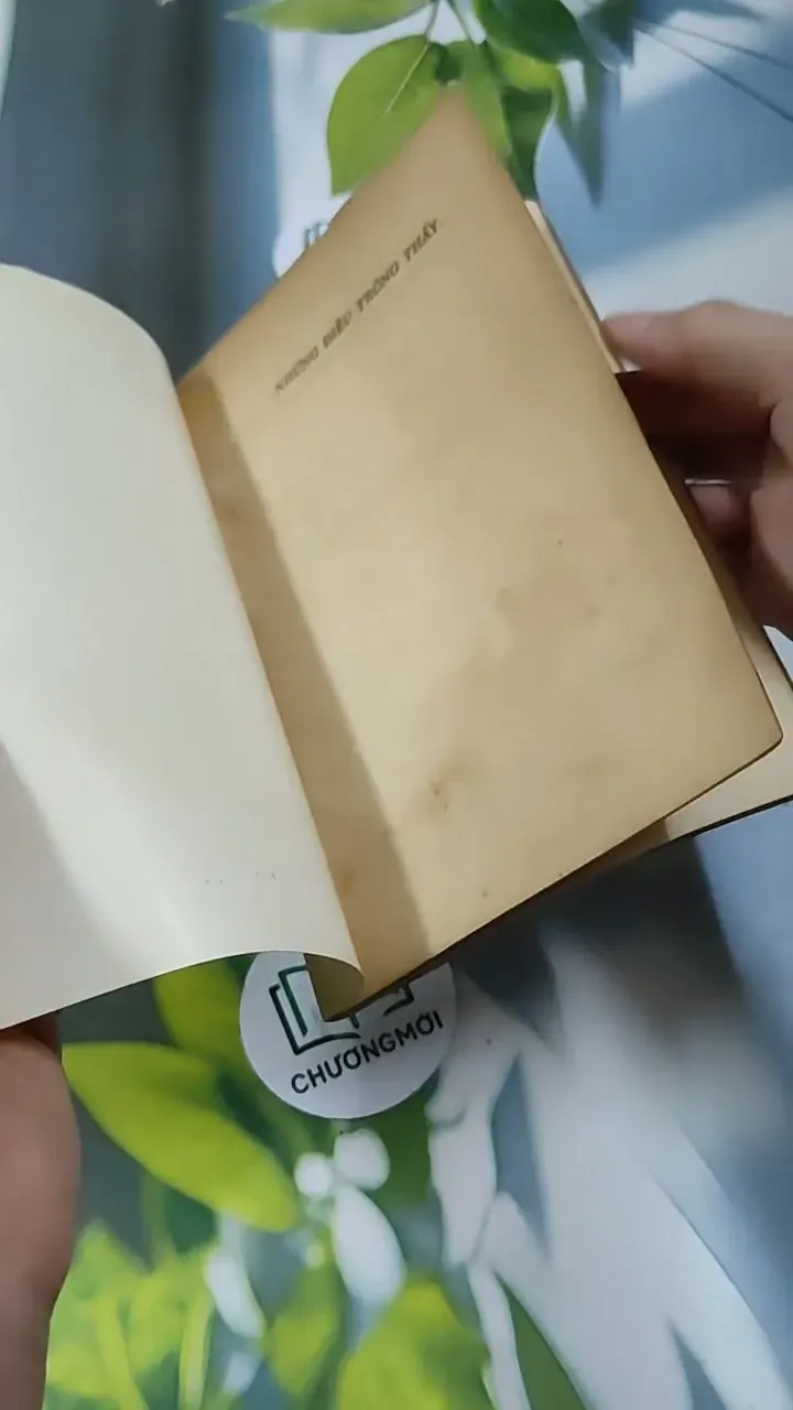 Những Điều Trông Thấy - Thơ  - Bảo Định Giang 713888