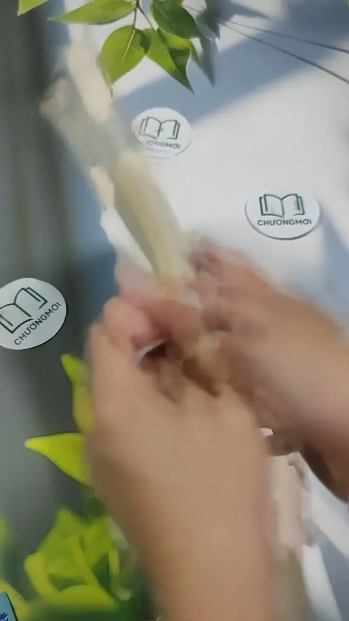 Mở Lòng Và Yêu Đi 707314