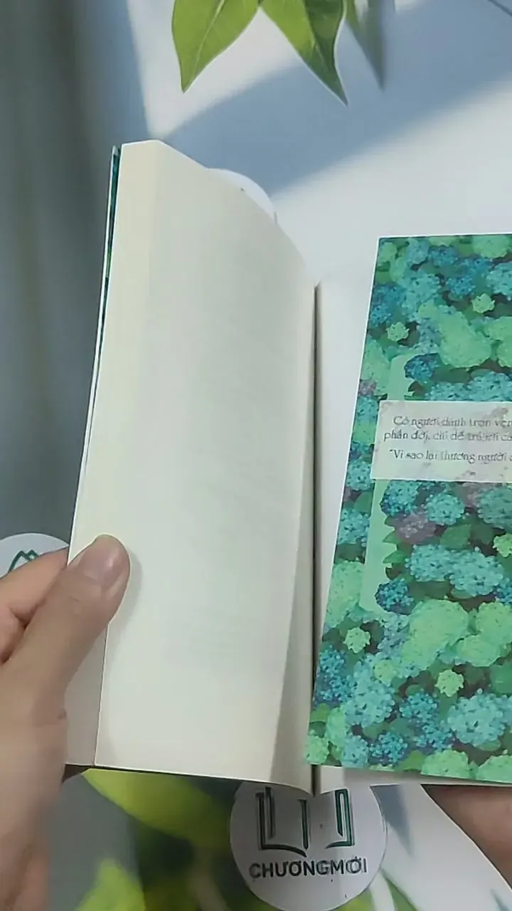 Vì sao ta thương người đó - Huy Hải 694987