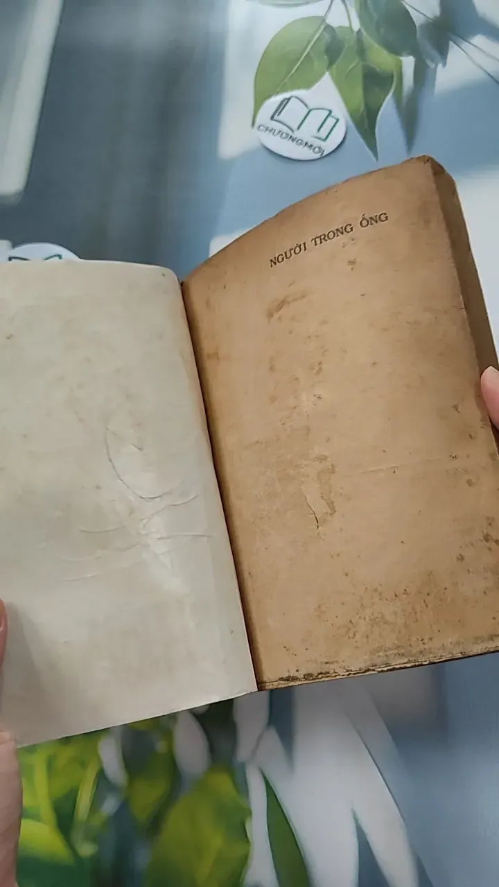 [XƯA] Người Trong Ống (1990) - Vi Hồng 776053