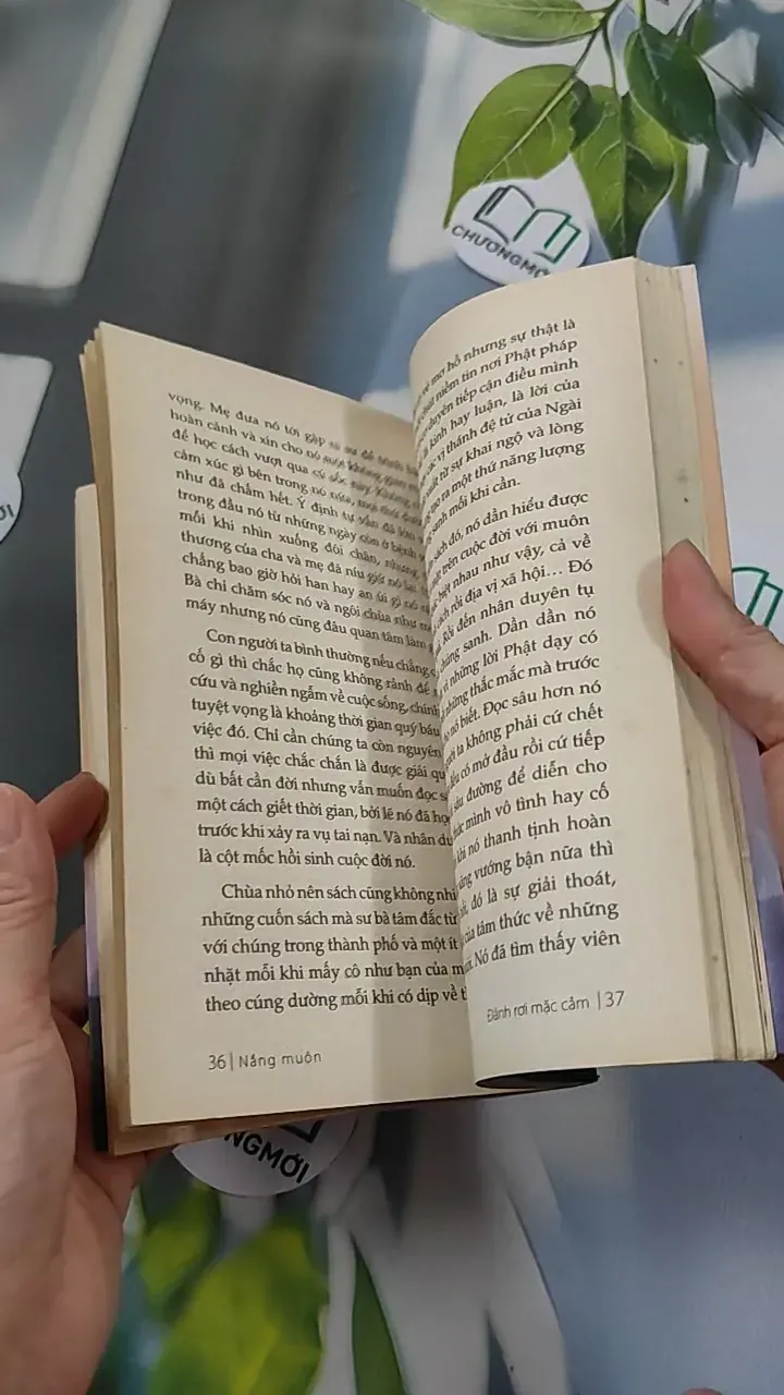 Nắng Muộn - Đậu Bảo 776107