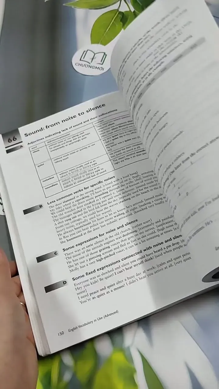 English Vocabulary In Use 713917