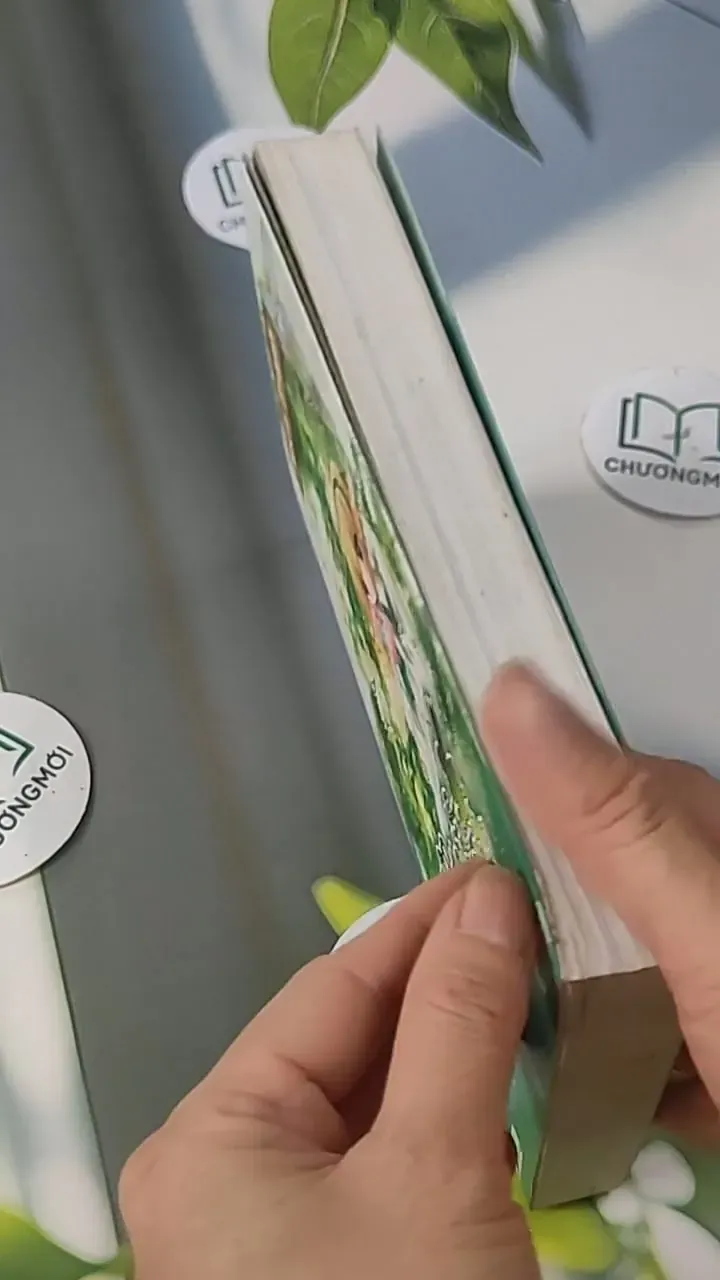 Chuyện Cổ Tích Của Peter Pan - Mạch Tranh 705601