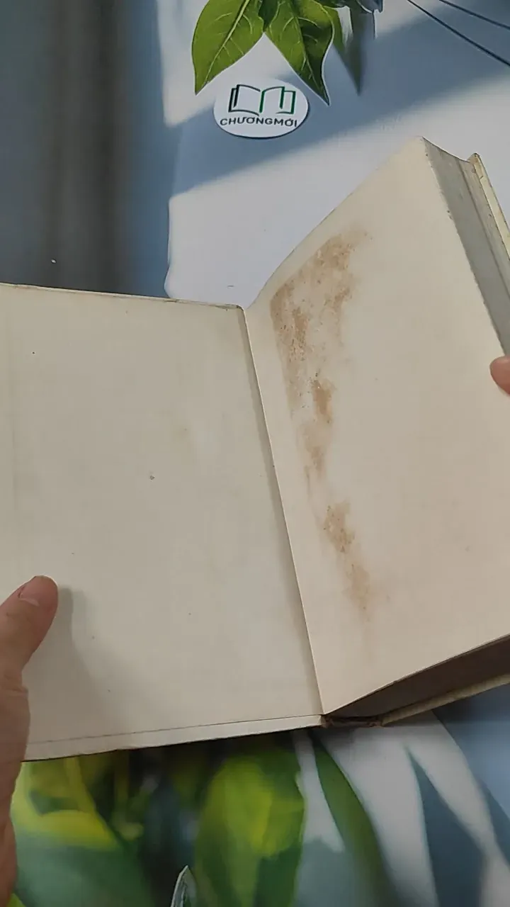 Câu Chuyện Về Anh Là Thế - V. Li-pa-tôp 749587