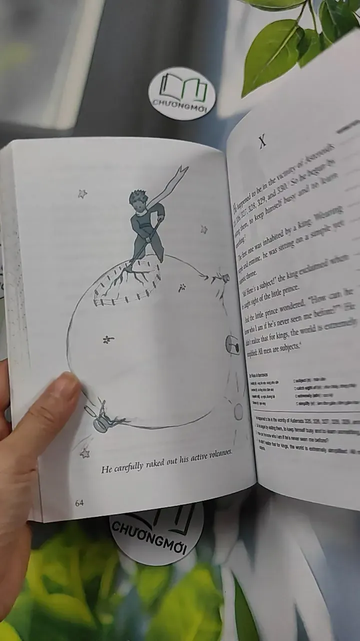 The Little Prince - 800 Words - Antoine de Saint-Exupéry 754533