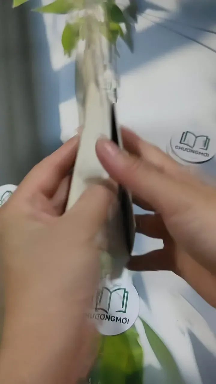 Vui Sống và Làm Việc - Dale Carnegie 707293