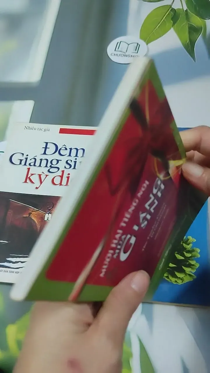 Combo Hạt Giống Tâm Hồn Quà Tặng Cuộc Sống: Giáng Sinh 727340