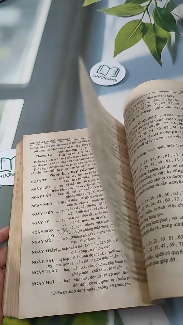 Diễn Cầm Tam Thế (Diễn Cầm Tam Thế) 727288