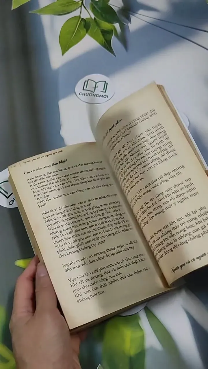 Người Yêu Cũ Có Người Yêu Mới - Iris Cao 707319