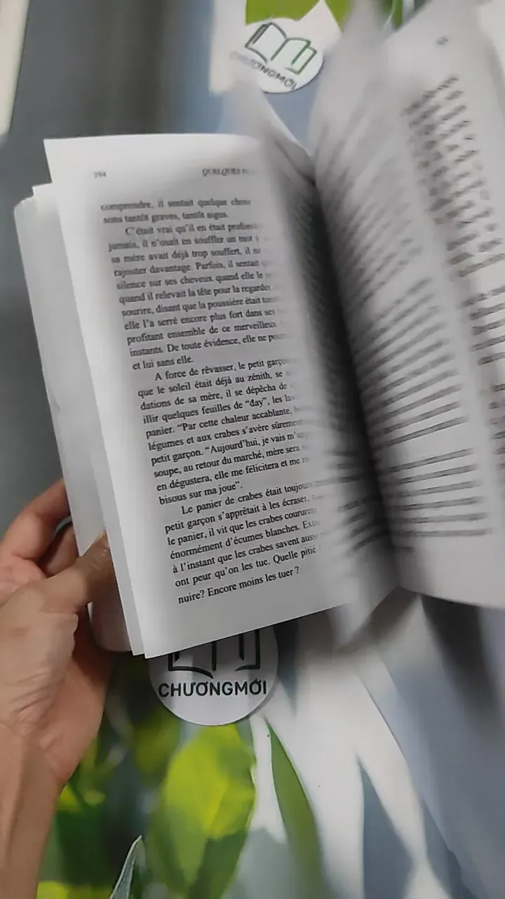 Vài câu chuyện Đạo (Song ngữ Việt - Pháp) 776202