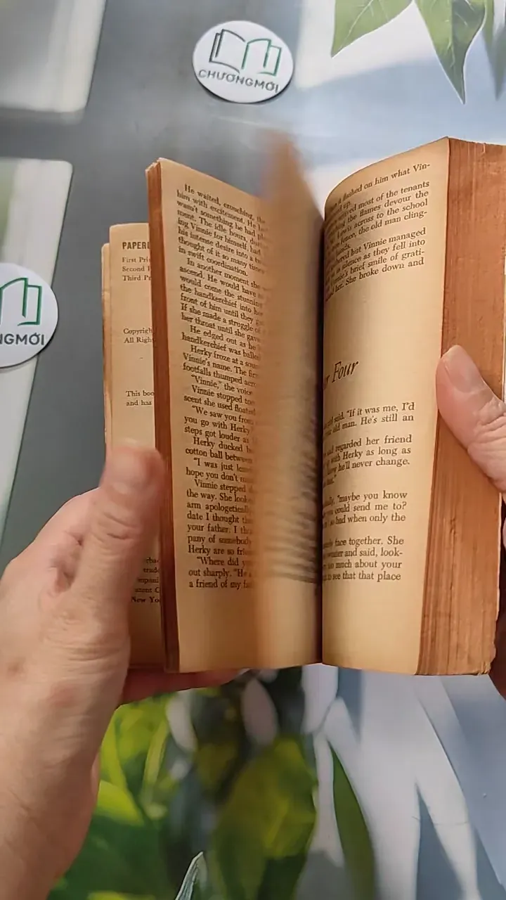 [XƯA] Vinnie (1968) - Albert T. Quandt 754454