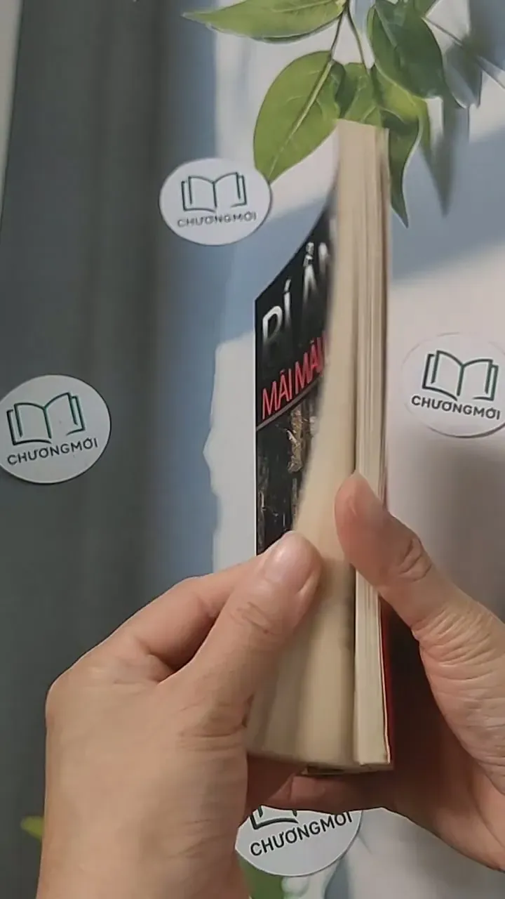 Bí ẩn mãi mãi là bí ẩn 3 688478