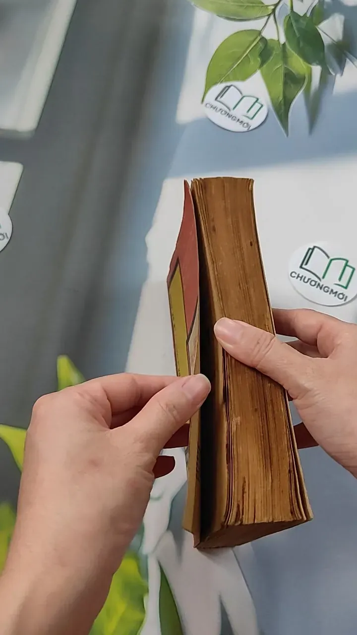 [MIỄN PHÍ BỌC SÁCH] [XƯA] Tự Điển Anh-Việt Tiêu Chuẩn (1968) - Lê Bá Khanh Lê Bá Kông 776076