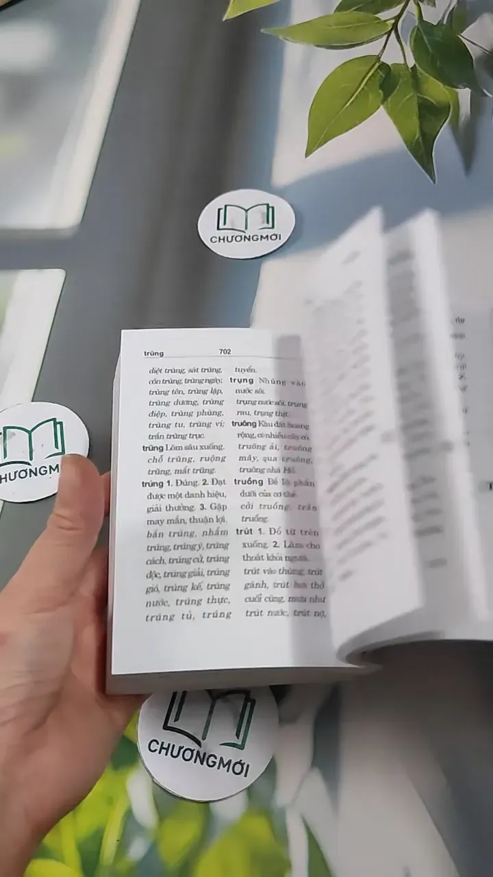 Từ Điển Chính Tả Tiếng Việt 727289