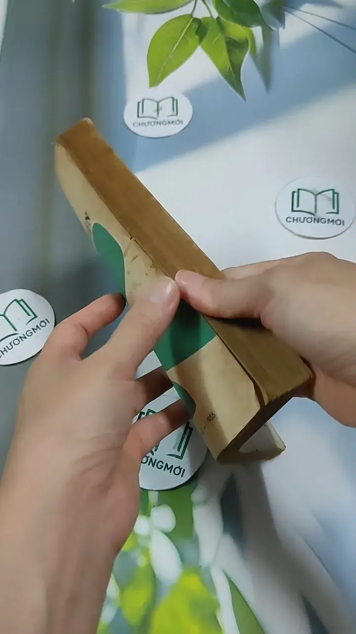 Một Chuyện Chép Ở Bệnh Viện - Bùi Đức Ái 713900