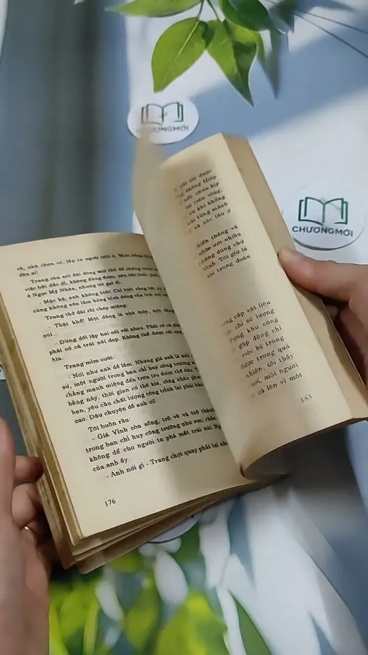 Hoa Hoàng Lan - Nguyễn Phan Hách 713866