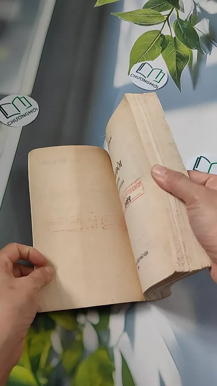 [XƯA] Đỉnh Đồi (1994) - Irwin Shaw 776066