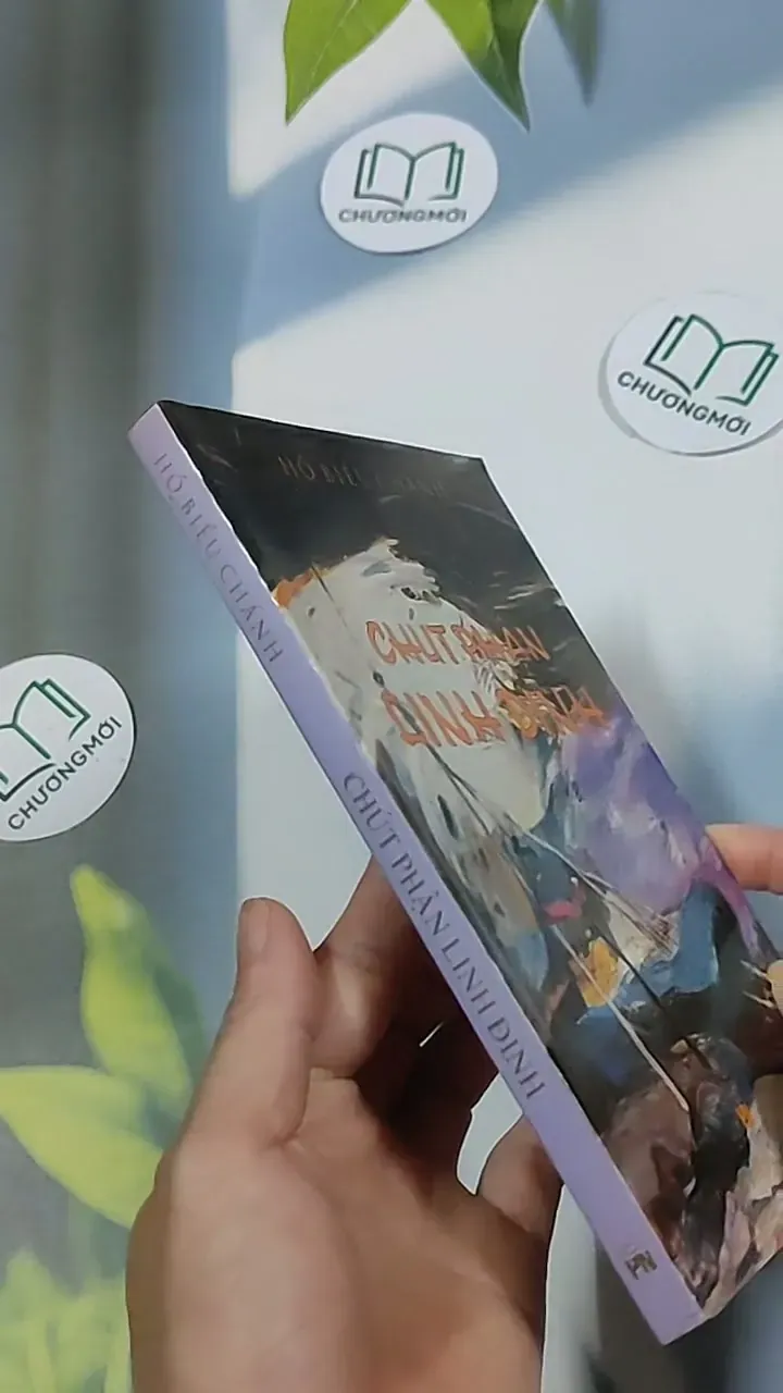 Chúc phận linh đinh - Hồ Biểu Chánh 698619