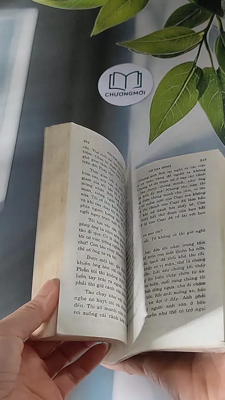 Vô Gia Đình (2001) - Hector Malot 607676