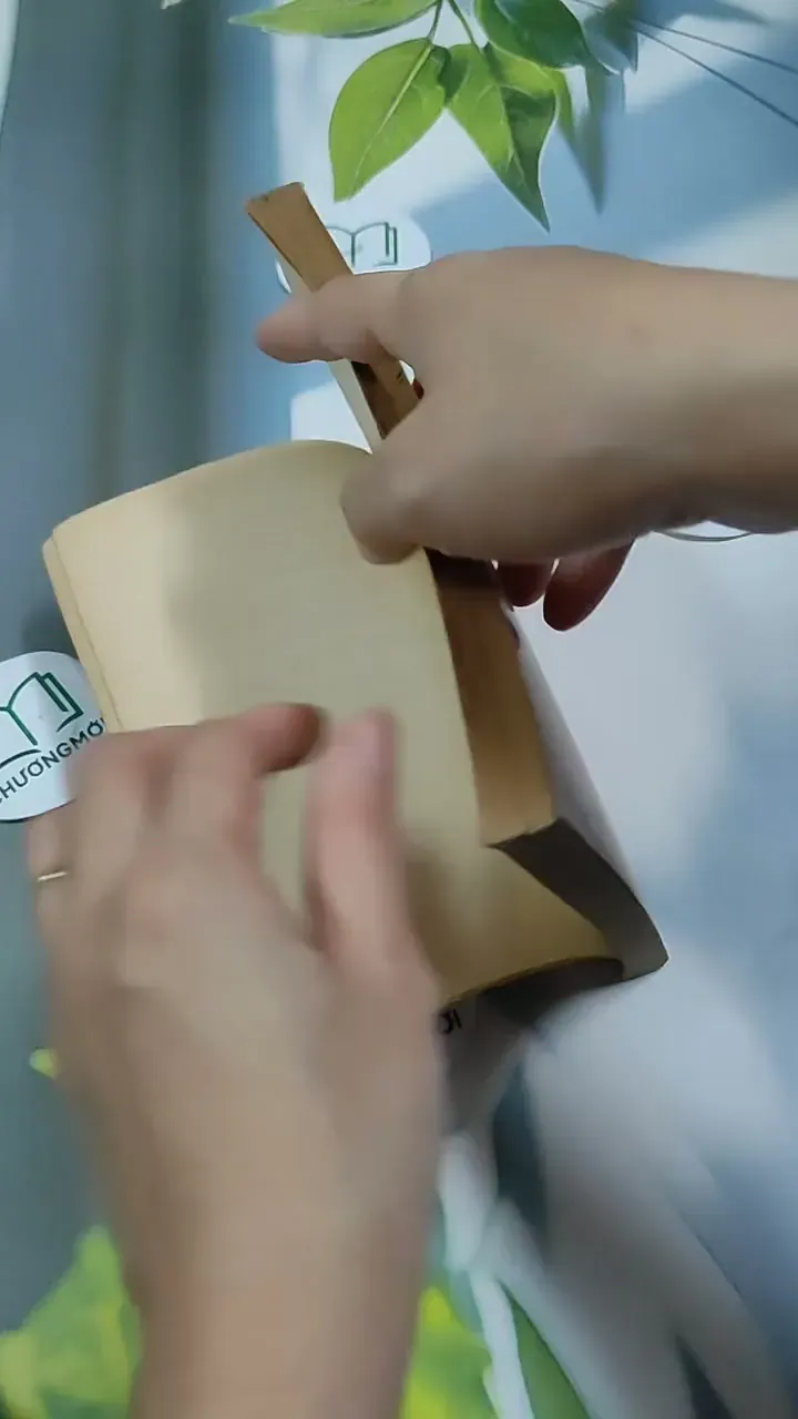 Người Đàn Bà Tuổi Bính Thân - Phạm Thị Minh Thư 713893