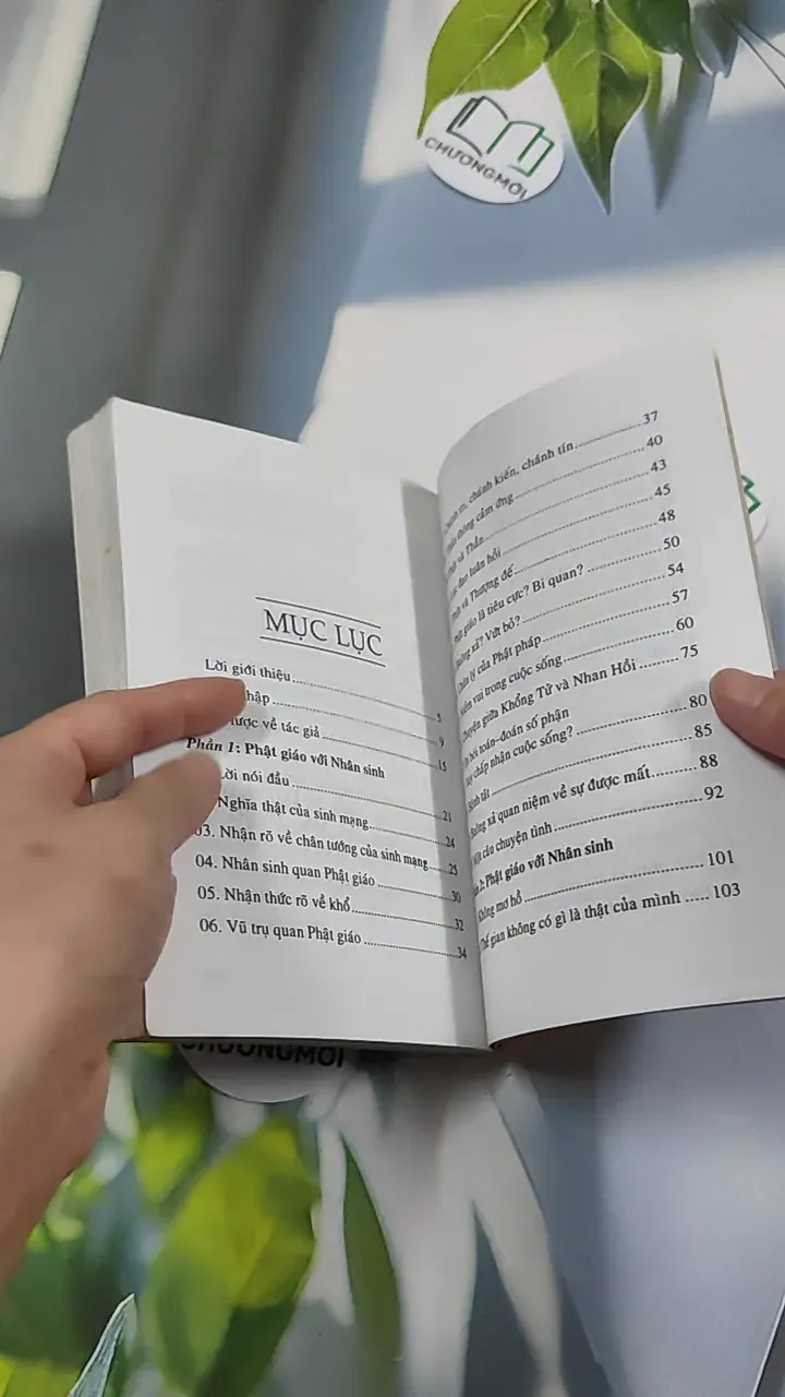 Phật Giáo Với Nhân Sinh - Pháp Sư Tuệ Luật 776151