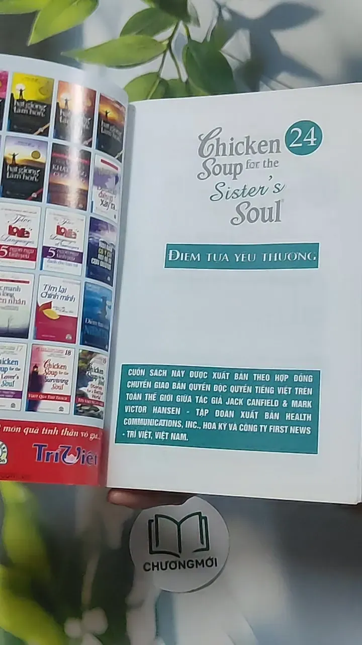 Chicken Soup for the Sister's Soul: Điểm tựa yêu thương - Song ngữ - Jack Canfield 688550