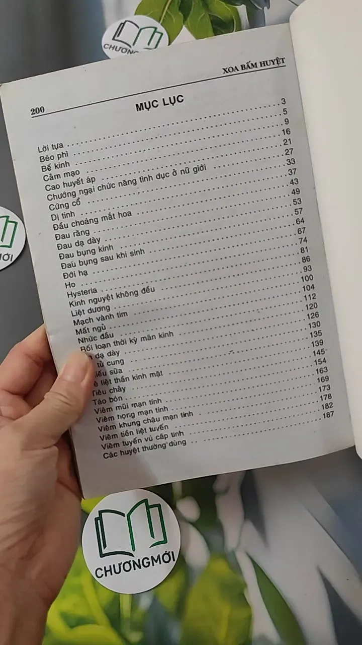 Xoa - Bấm Huyệt - Kỷ Anh & Định Công Bảy 780808