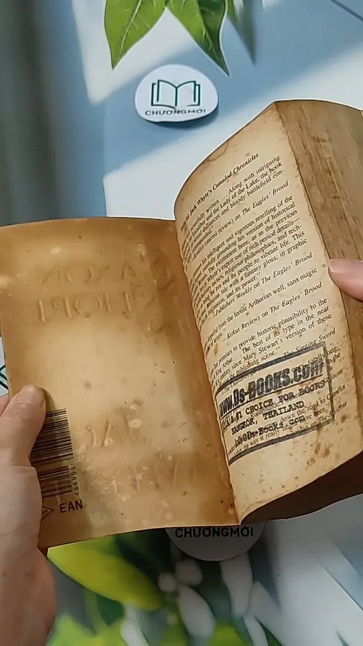 [MIỄN PHÍ BỌC SÁCH] The Saxon Shore - Jack Whyte 703080