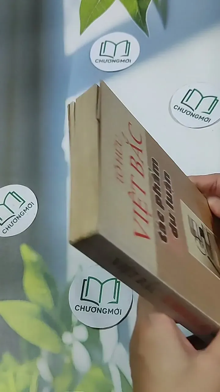 Việt Bắc - Tác phẩm và dư luận - Tố Hữu 698620