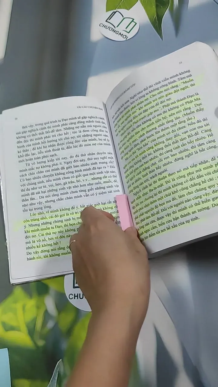 Vài câu chuyện Đạo (Song ngữ Việt - Pháp) 776202