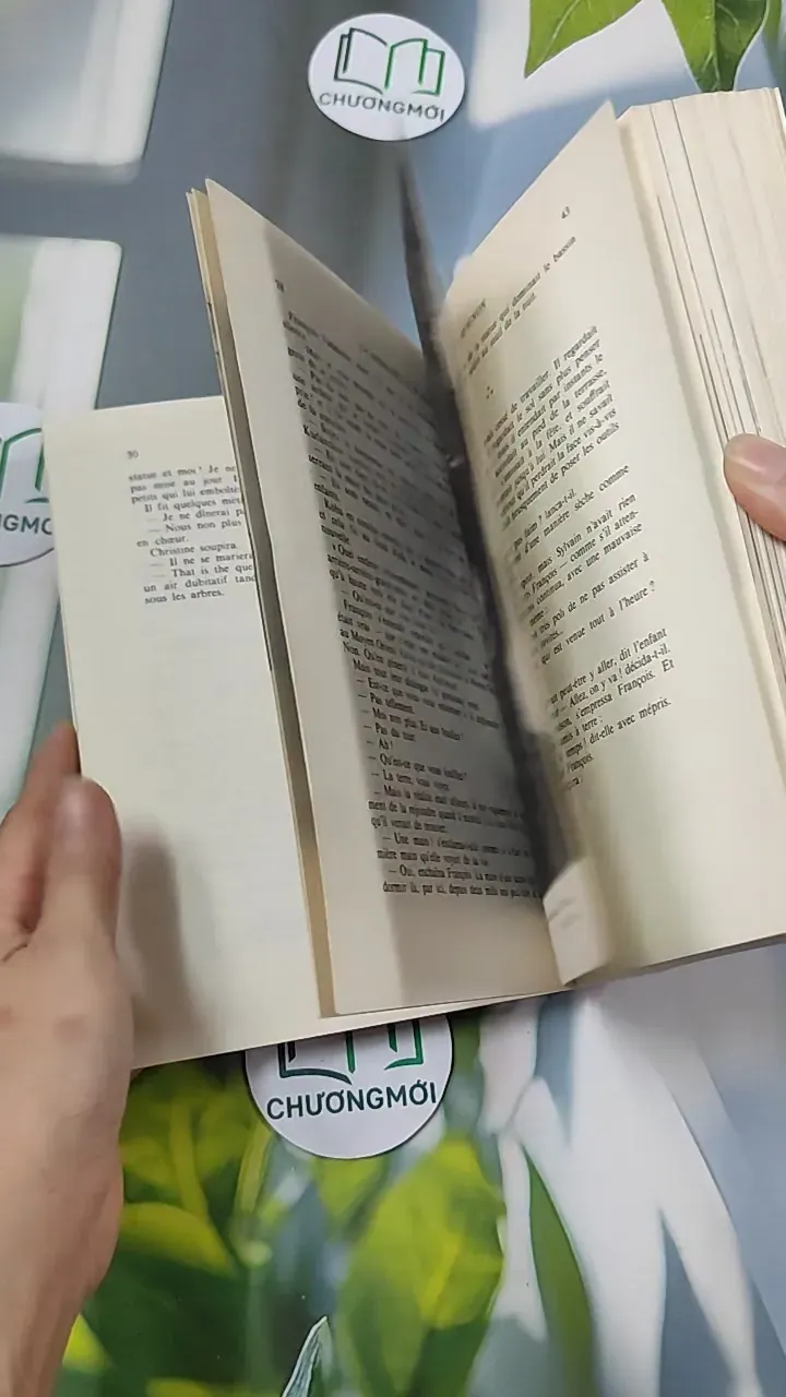 [MIỄN PHÍ BỌC SÁCH] [XƯA] La Demoiselle d'Avignon (1982) - Frédérique Hébrard & Louis Velle 754526
