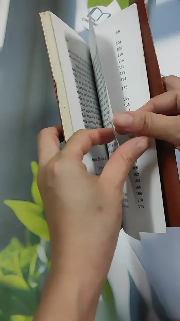 Thông điệp tình huynh đệ - Thích Nhất Hạnh 776241