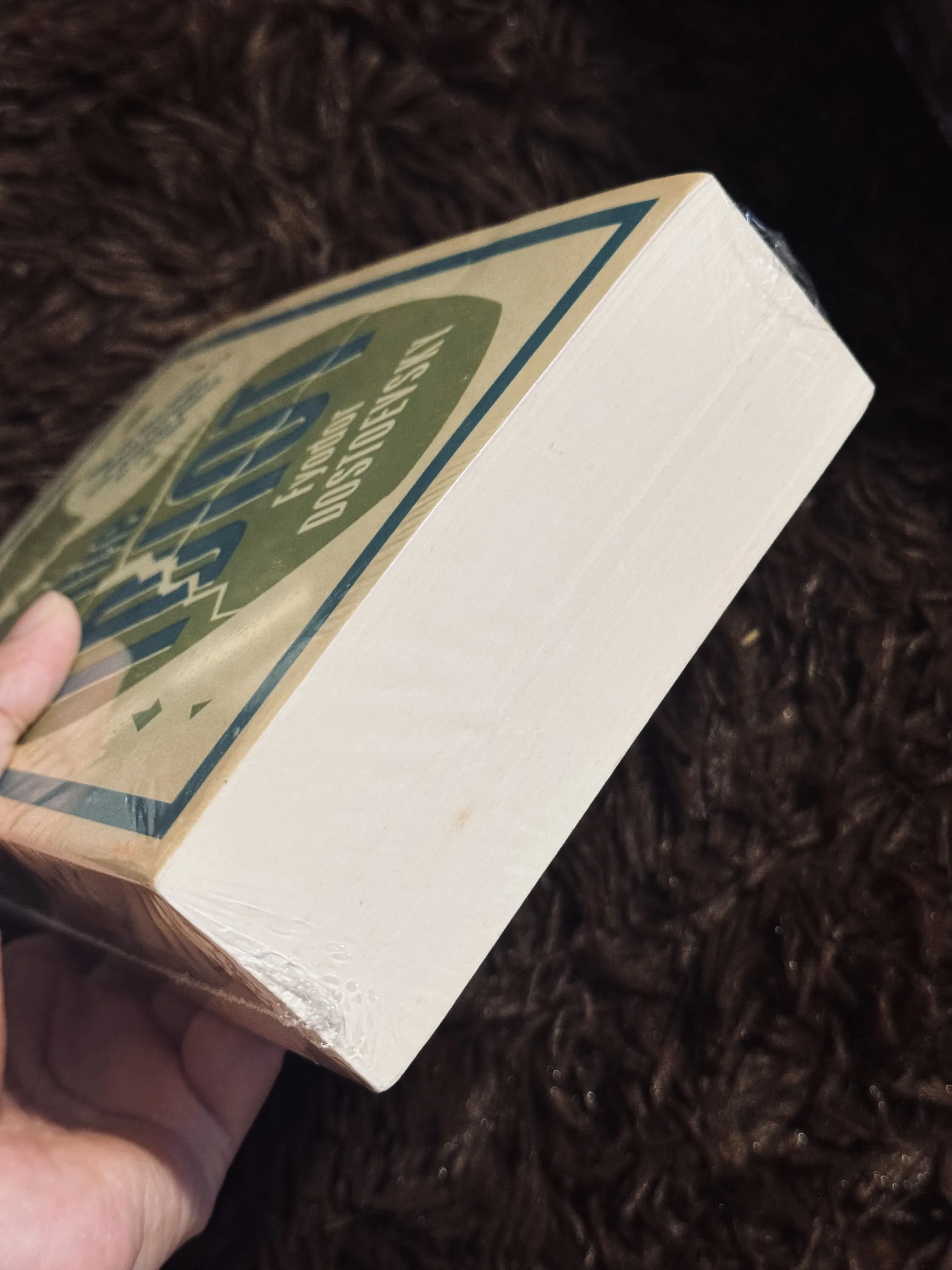 The Idiot - F. Dostoevsky (seal)  746740