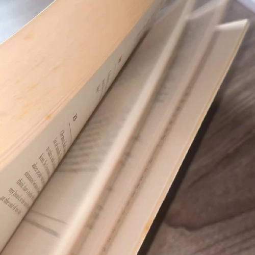 The Late Show - Renée Ballard (Michael Connelly)