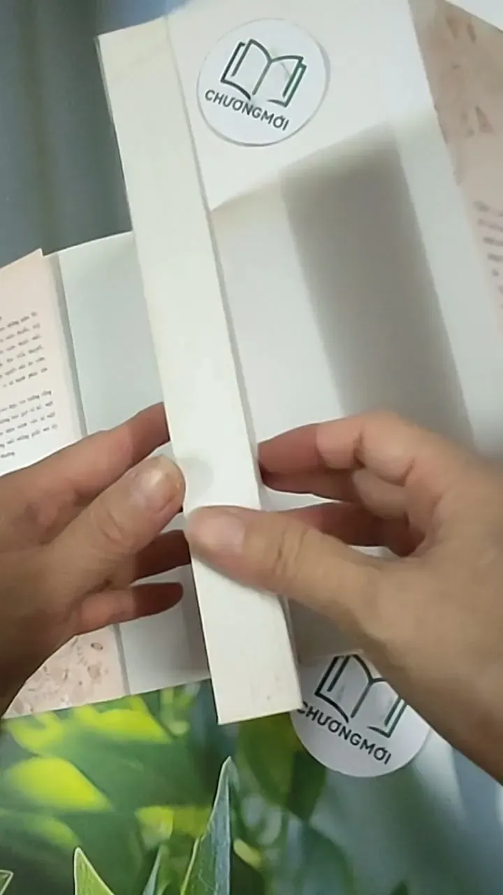 Cô Nàng Hợp Đồng - Ni Xảo Ni 705641