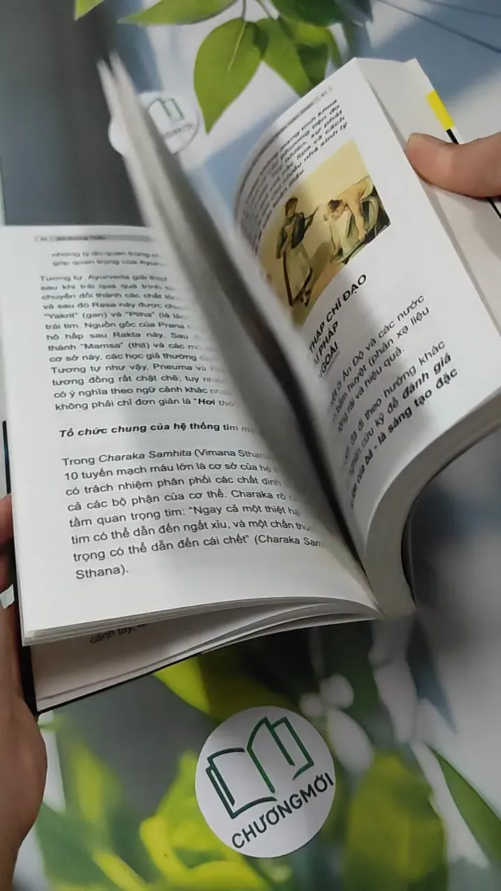[MIỄN PHÍ BỌC SÁCH] Thập Chỉ Liên Tâm Cải Thiện Tuần Hoàn - Dư Quang Châu 780915