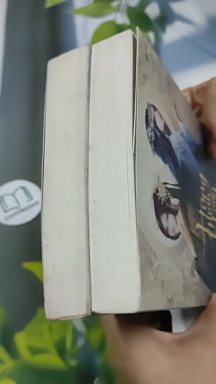 [MIỄN PHÍ BỌC SÁCH] Trọn bộ Hồng Nhan Loạn (tập 1 + 2) - Đóa Đóa Vũ 705729