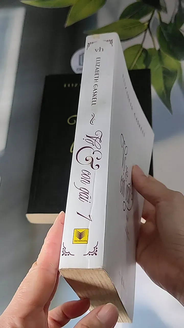 [MIỄN PHÍ BỌC SÁCH] Vợ và con gái ( Tập 1 + 2) (2016) - Elizabeth Gaskell 607675