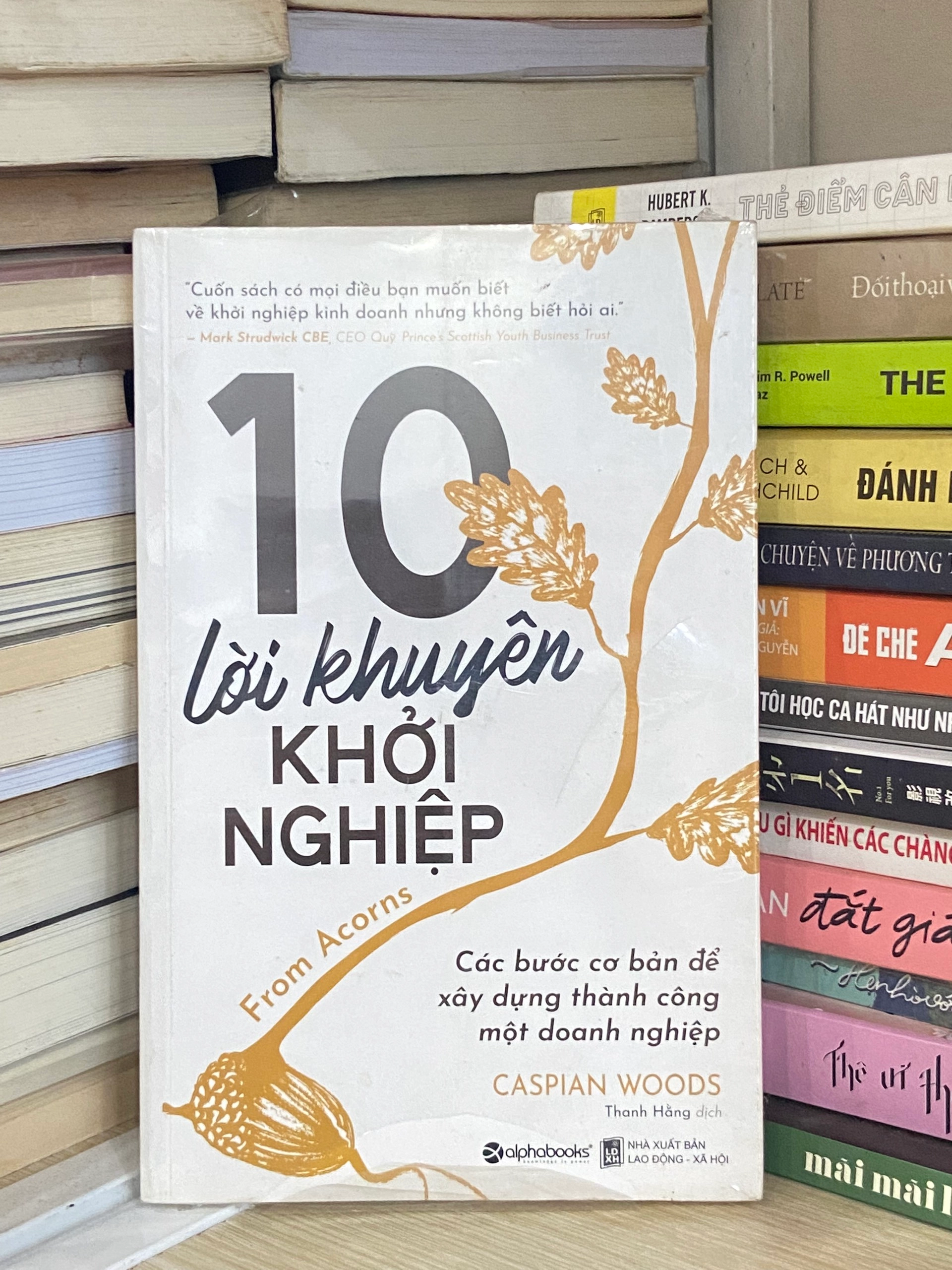 10 Lời Khuyên Khởi Nghiệp - Caspian Woods by  - Sách Book Cover - Ngọc Hiển Books