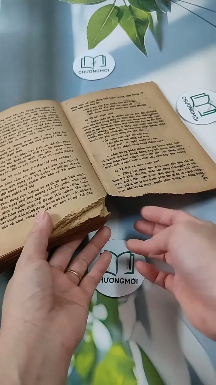 Hướng Dẫn Ôn Tập Và Làm Bài Thi Vào Các Trường Đại Học - Môn Văn 713821