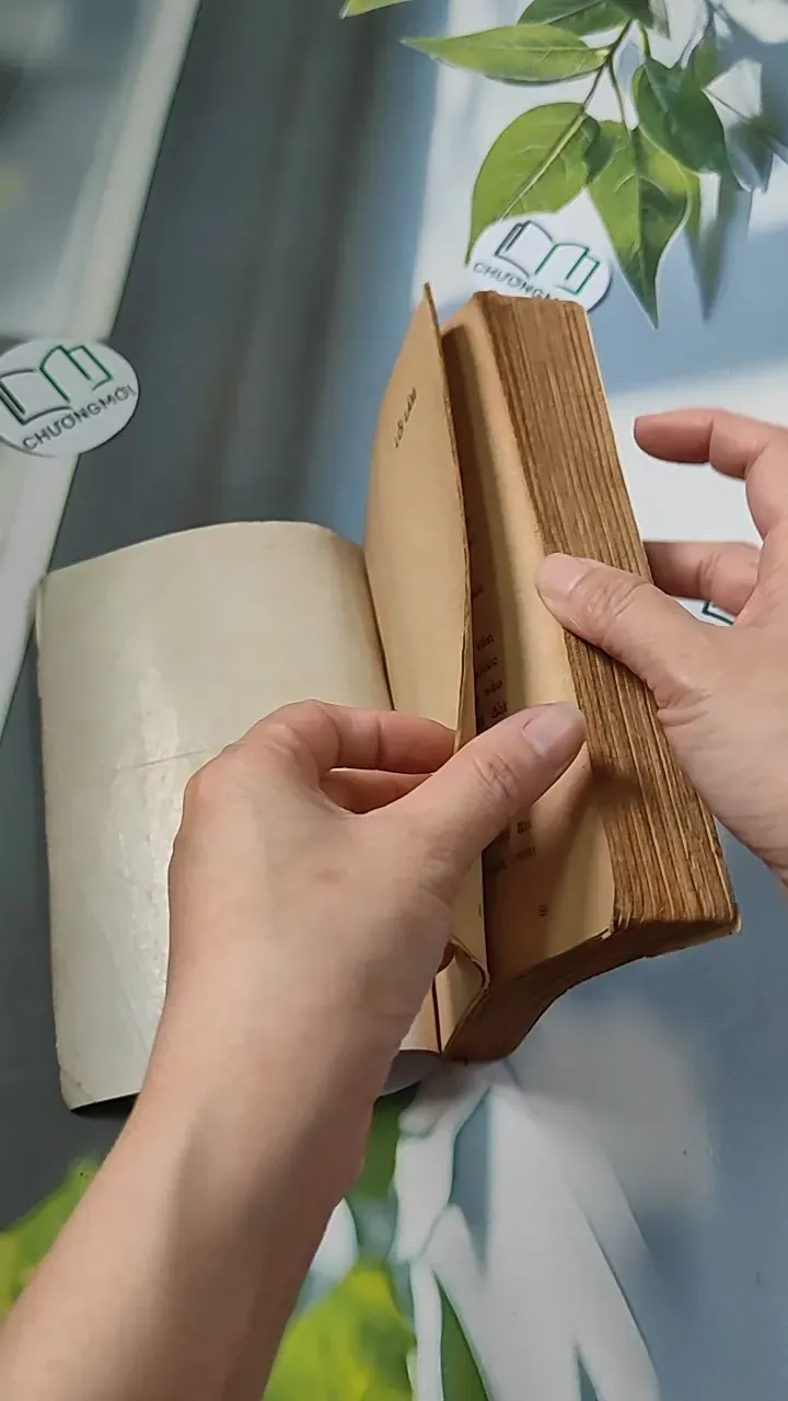 [XƯA] Lỗi Lầm (1991) - Đỗ Thị Thanh Vân 776065