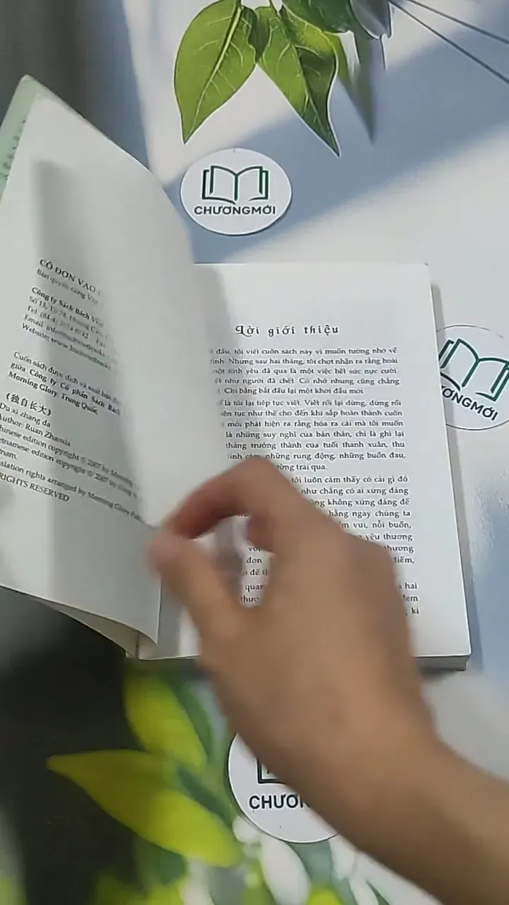 Cô đơn vào đời - Dịch Phấn Hàn 694970