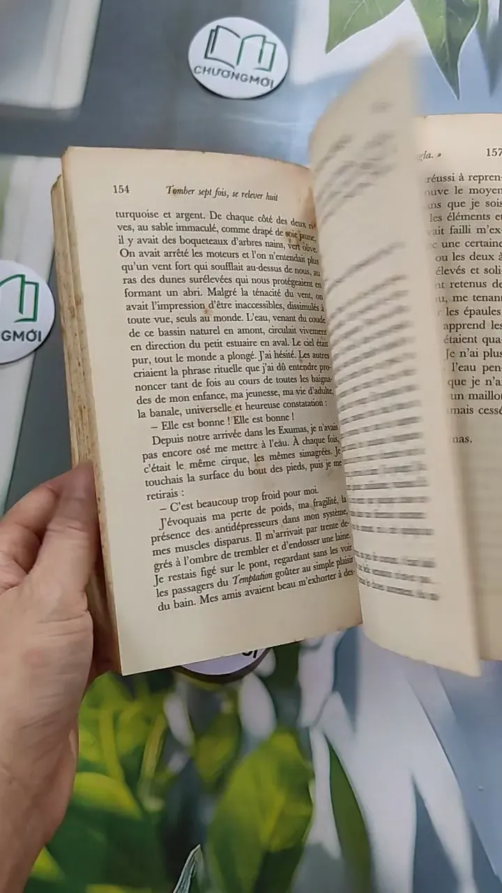 [MIỄN PHÍ BỌC SÁCH] Tomber sept fois, se relever huit - Philippe Labro 754471