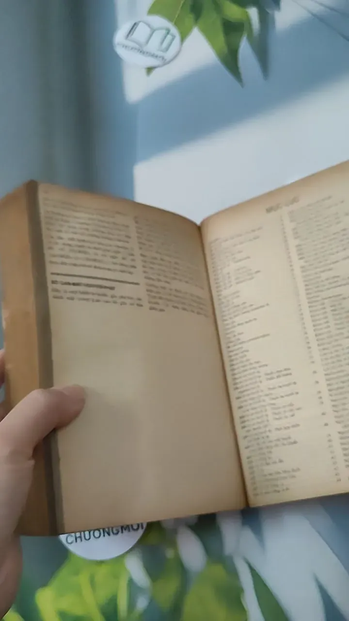 [MIỄN PHÍ BỌC SÁCH] [XƯA] Vidal Giúp Trí Nhớ 1998 (1998) 780787