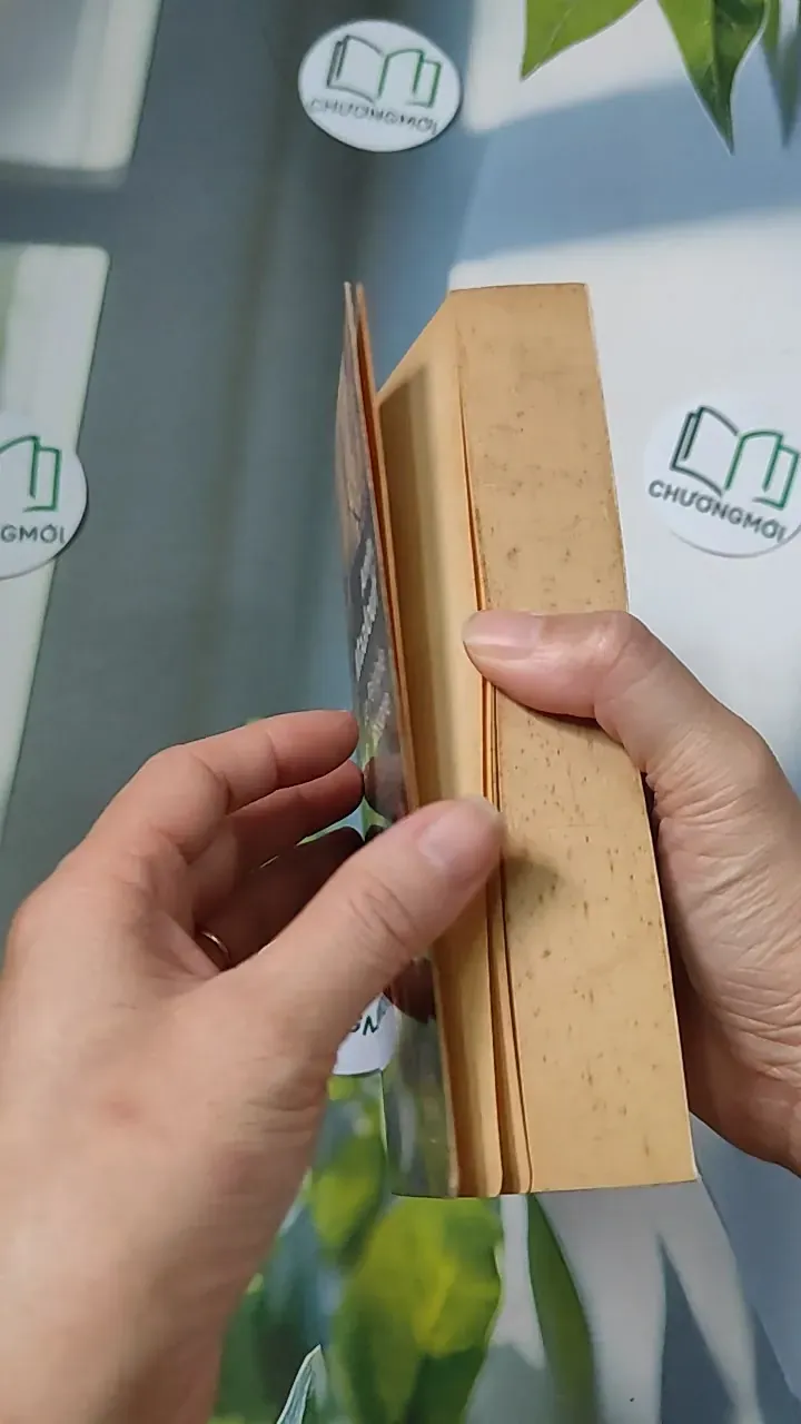 Le Périple de Baldassare - Amin Maalouf 754485