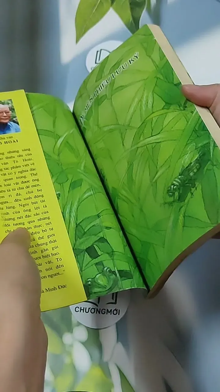 Dế Mèn phiêu lưu ký - Tô Hoài 698593