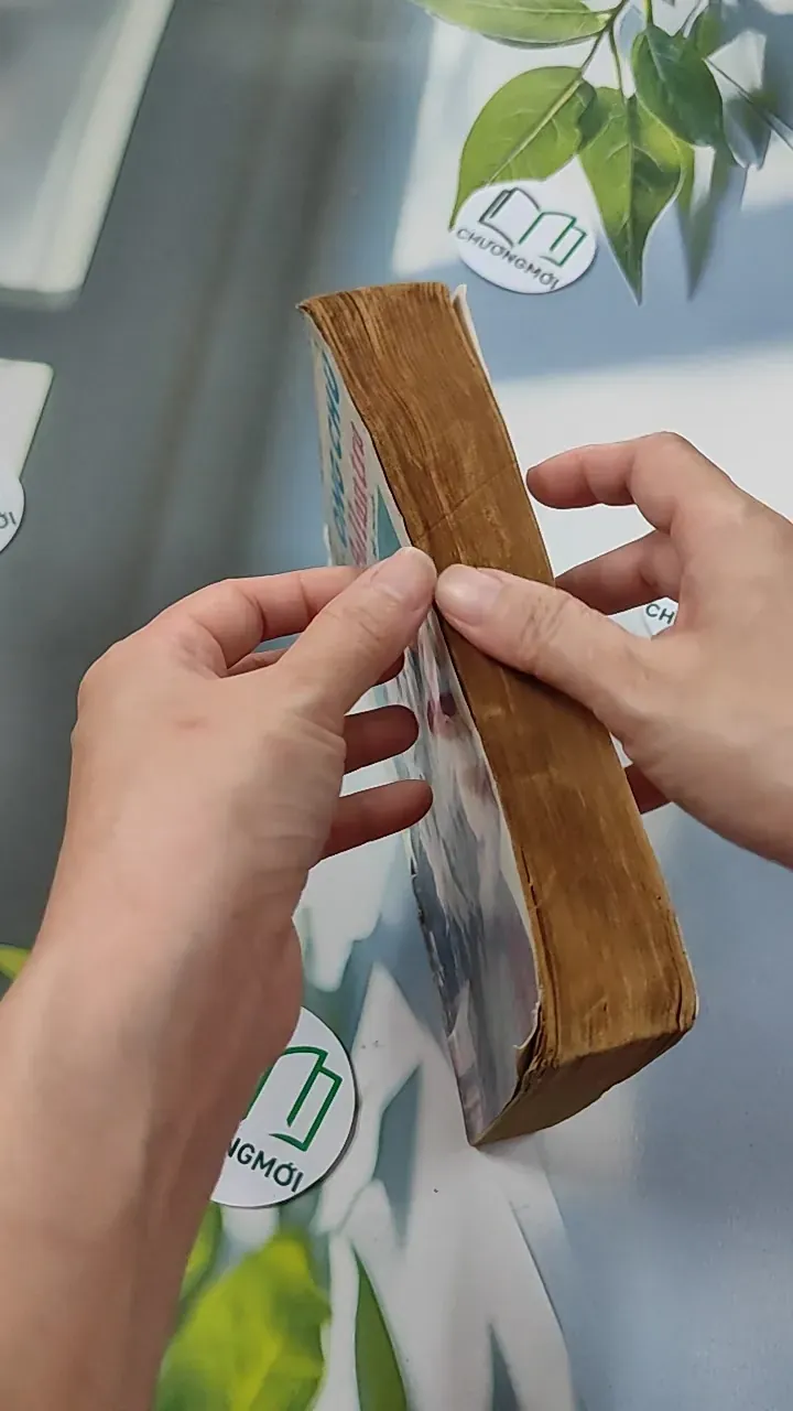 [XƯA] Ông Chủ Ballantra (1990) - Robert Louis Stevenson 776098