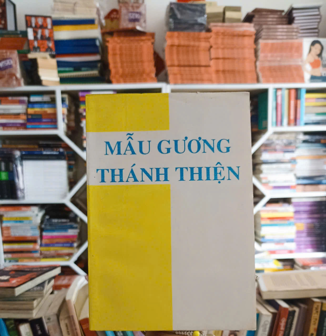 Mẫu Gương Thánh Thiện