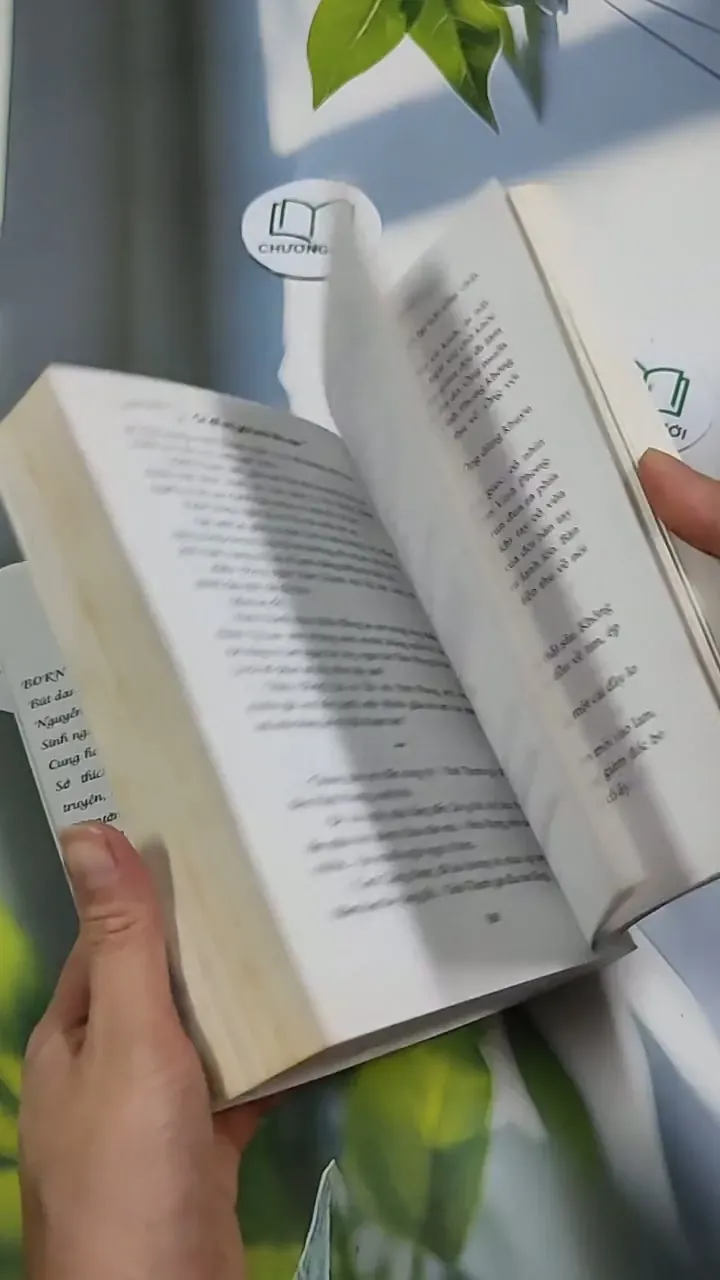 Sẽ Để Em Yêu Anh Lần Nữa (tập 2) - Born 705763